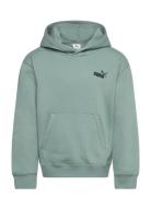 Ess Small No. 1 Logo Relaxed Hoodie Fl B PUMA Green