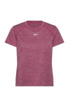 Id Train Tee Reebok Performance Red