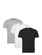 3 Pack Crew French Connection Patterned