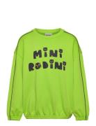 Mini Rodini Cats Sp Sweatshirt Mini Rodini Green