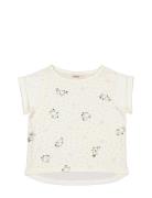 Tavora MarMar Copenhagen Cream