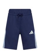 J Cb Short Adidas Sportswear Navy