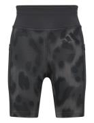 Jg Opt Pr Bk L Adidas Sportswear Black