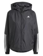 Hyglm Windb Adidas Performance Black