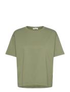 Fizvalley American Vintage Khaki