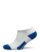 Jr Prodry - Low Cut FootJoy Navy