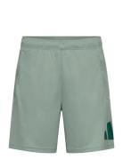 Tr-Es Logo Sho Adidas Performance Green