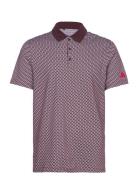 Btc Txr Polo Adidas Golf Burgundy