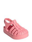 Superstar Sandal I Adidas Originals Pink