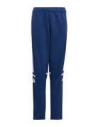Sq25 Tr Pnt Y Adidas Performance Navy