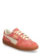 Palermo Vintage PUMA Pink