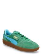 Palermo Vintage Update PUMA Green