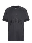 M Us Sport Tee Adidas Sportswear Black