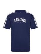 M C Colleg Tee Adidas Sportswear Blue