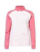 Lds Kingsbarns Hybrid Jkt Abacus Pink