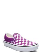 Classic Slip-On VANS Purple