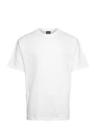 Premium Ss VANS White