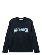 Wwhester WOOD WOOD Navy