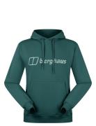 Bg M Logo Hoody Light Berghaus Green