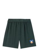 Bee Kid Bermuda Shorts Deep Green THE ANIMALS OBSERVATORY Green