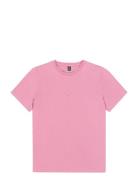 Virel Tee PICTURE ORGANIC CLOTHING Pink