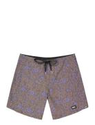 Andy Heritage P 17 Brds PICTURE ORGANIC CLOTHING Patterned