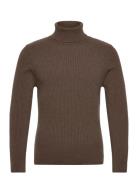 Tony Turtle HOLZWEILER Brown