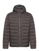 Puffer Jacket Lee Jeans Grey