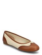Jayna Wingtip Ballet Flat Lauren Ralph Lauren Brown