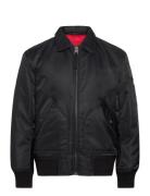 Balamo2531 HUGO Black