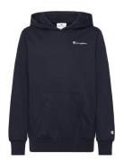 Hooded Sweatshirt Champion Black