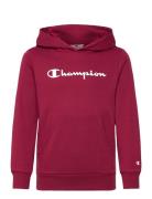 Hooded Sweatshirt Champion Burgundy
