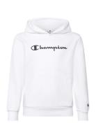 Hooded Sweatshirt Champion White