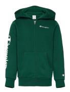 Hooded Full Zip Sweatshirt Champion Green