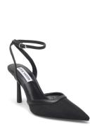 Alliance-M Heel Steve Madden Black