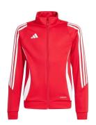 Tiro24 Trjkty Adidas Performance Red