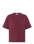 Katomina T-Shirt Kaffe Red