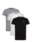 Vin 3 Pack T-Shirt Massimo Men VINSON Patterned