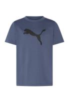 Tad Ess Cat Logo Tee B PUMA Navy