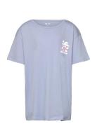 Lilyregular Night Roxy Blue