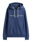 Tommy Logo Hoody Tommy Hilfiger Blue