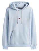 Tommy Logo Hoody Tommy Hilfiger Blue