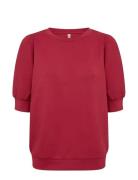 Sc-Banu Soyaconcept Red