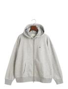 Shield Zip Hoodie GANT Grey