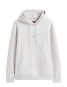 Tjm Reg Linear Logo Hoodie Ext Tommy Jeans Grey