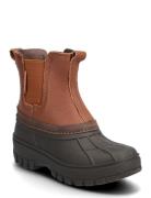 Bisgaard Blake Bisgaard Brown