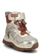 Bisgaard Bruce Tex Bisgaard Gold