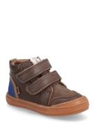 Bisgaard Cuba Tex Bisgaard Brown