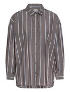 Ihsadia Sh2 ICHI Brown