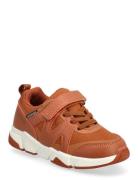 Bonnie K Exani Brown